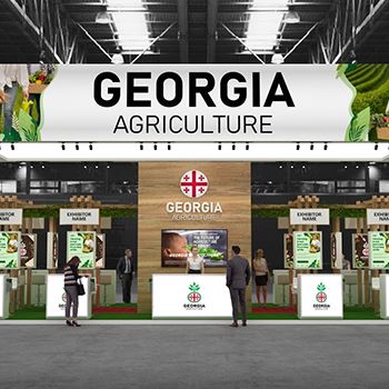 【GEORGIA】展台设计分享